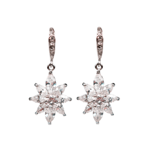 Load image into Gallery viewer, &#39;You Are The Star&#39; Diamontage™ 5.85 Carat Earrings